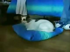 Ruski porno stroga mati tu in tam je nedolžnost