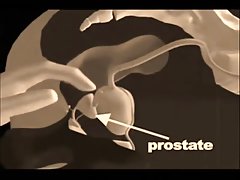 Porno 3d vekmnbrb seksi pecivo